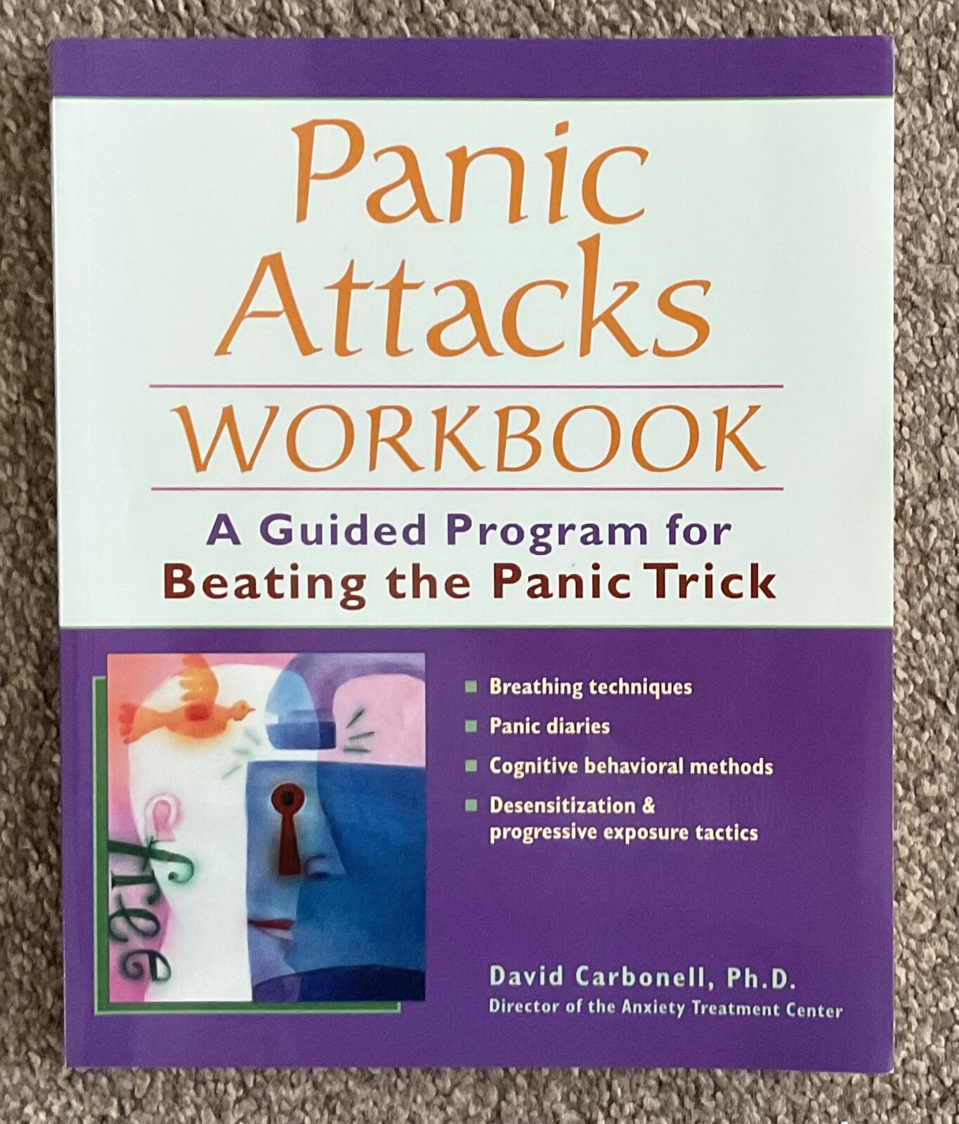Panic Attacks Workbook - David Carbonell [Book]