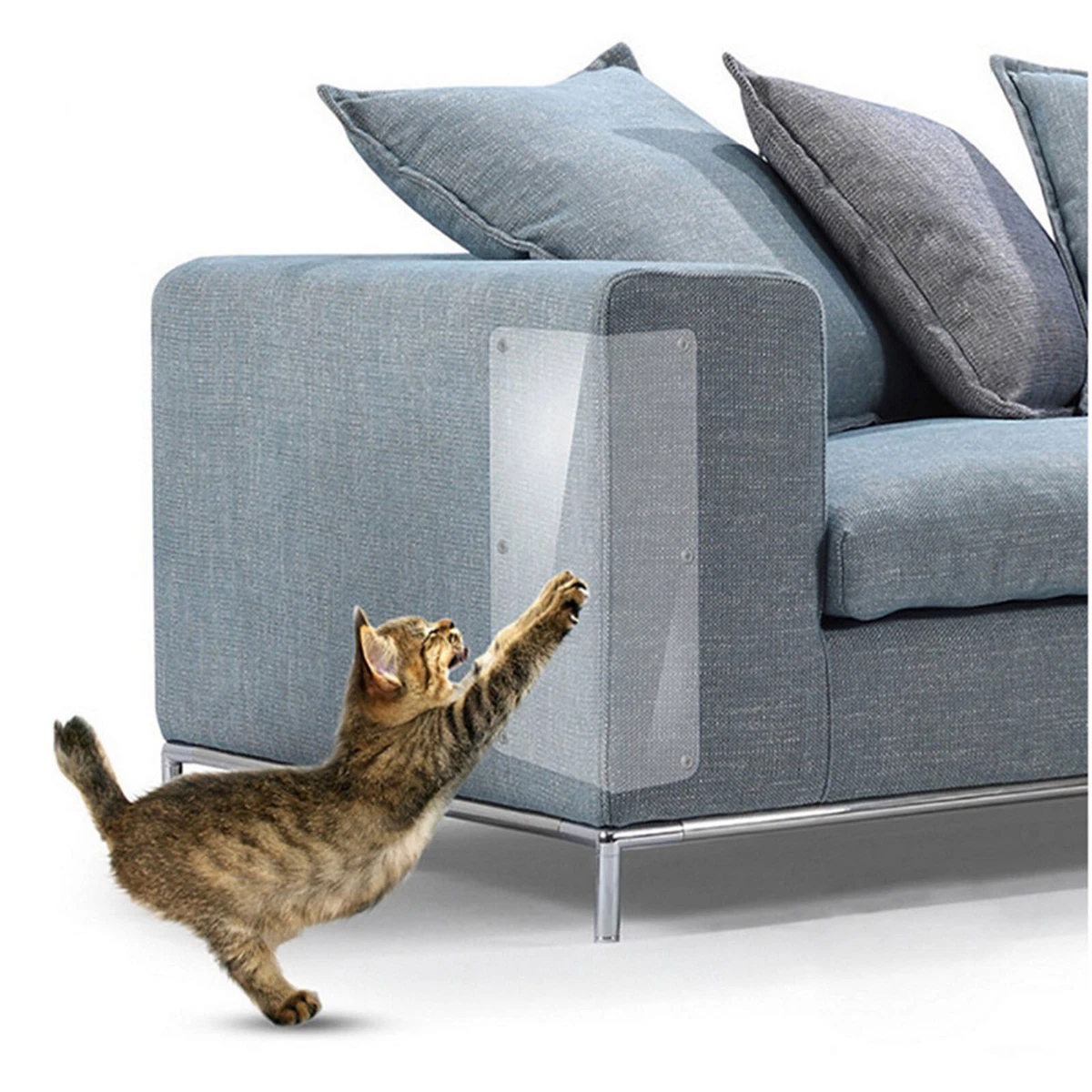 How to get your top cat to stop scratching couch