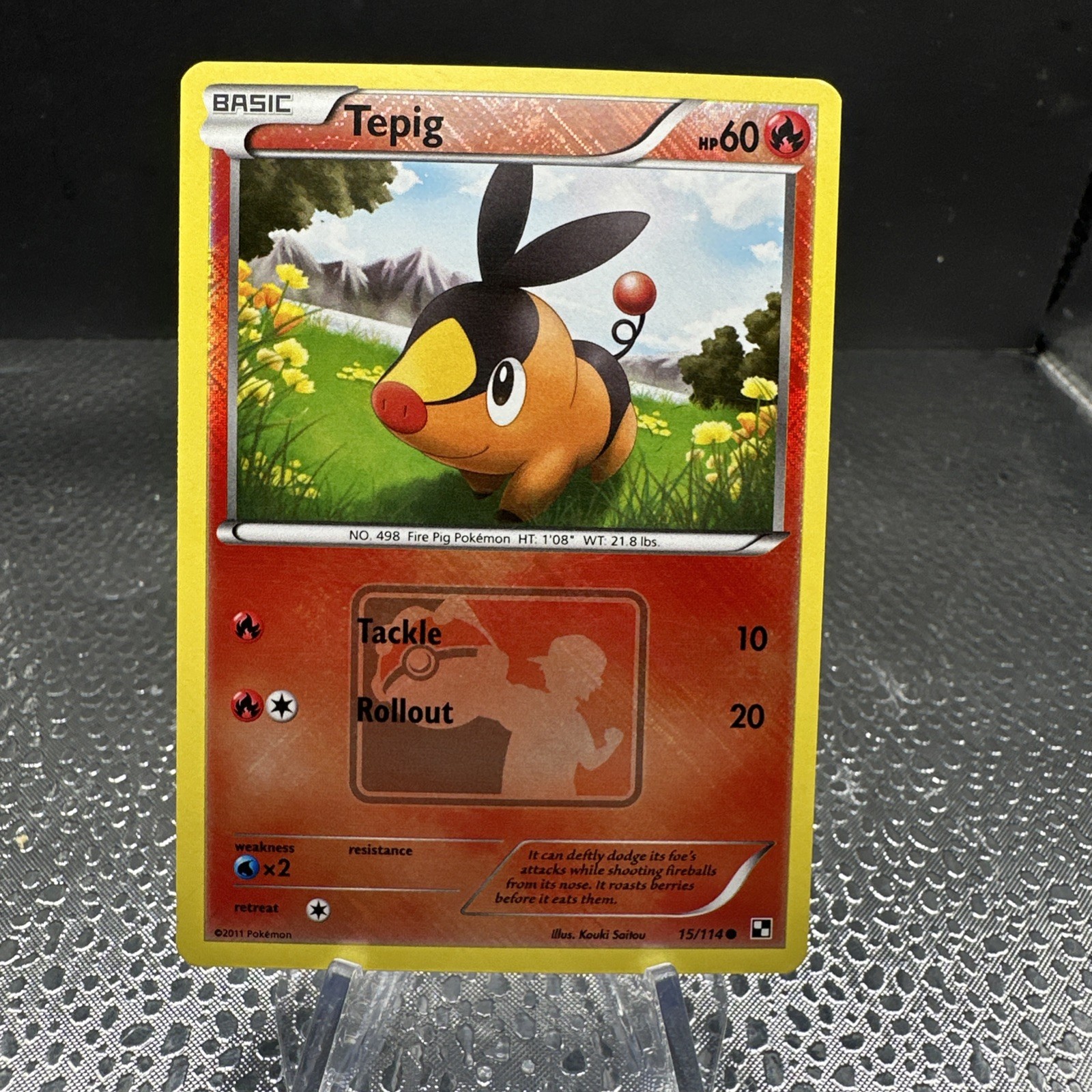 Pokemon Tepig Crosshatch Holo League Promo B&W 15/114 Near Mint