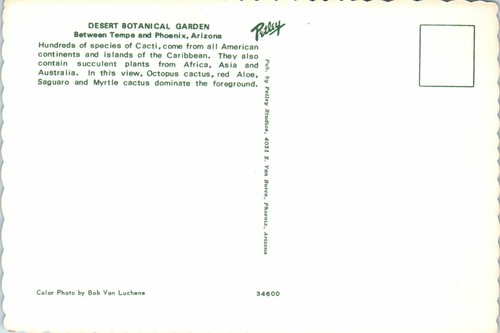 Lot of 2 1970s 4"x6" AZ Postcard Desert Botanical Garden Papago Park Tempe - Picture 2 of 4