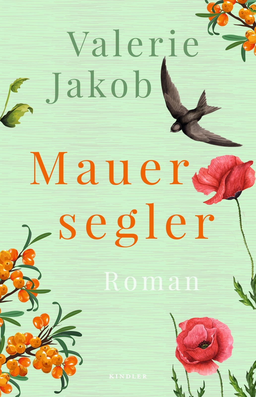 Thumbnail - Valerie Jakob / Mauersegler9783463407173