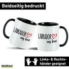 Bild 15 von 55