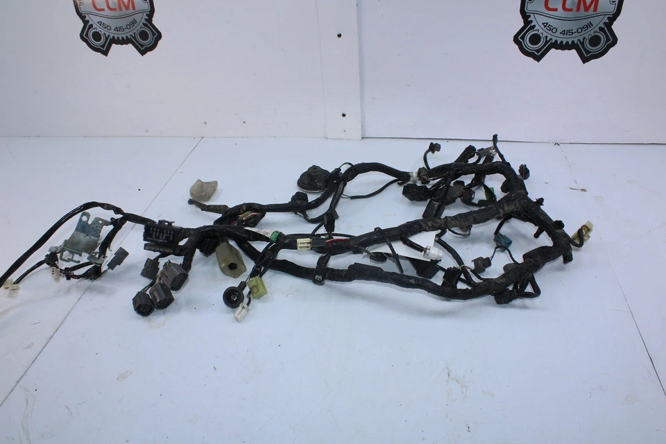 15 KAWASAKI NINJA 300 EX300 ARNÉS DE CABLEADO PRINCIPAL TELAR 26031-1814 Foto 3 de 4