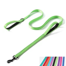 Reflective Nylon Dog Leash Heavy Duty, Two Handles with Padded for Extra Cont...