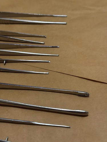 Medical Surgical Stainless Steel Forceps Lot 076 Surgical Instruments - Picture 3 of 7