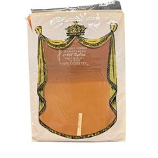 VTG Town  Country Seamless Mesh Nylon Stockings 15 Denier Size 10.5 NOS USA