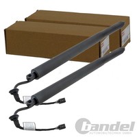2X NTY Elektrische Heckklappen Lifter Passend FüR Audi E-TRON | AE-AU-100
