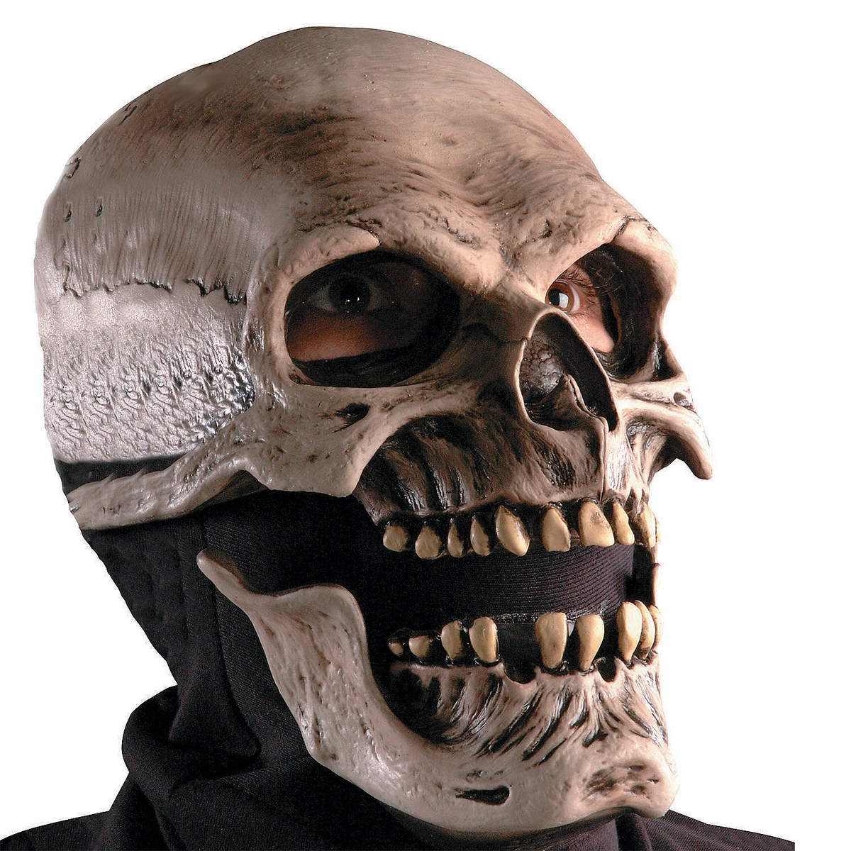 PLASTER MASK◎ART＞石膏像＞ゲーテ•デスマスク｜◎L8-YA289 Jeff Ostergren : Work : Death Masks