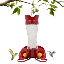 Glass Hummingbird Feeder with Ant Moat, Bee Guards, and Perches 1 Pack