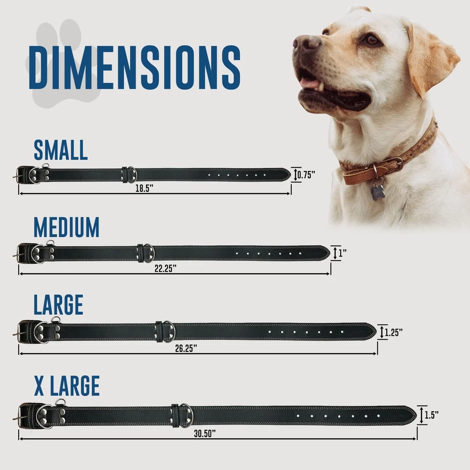 Leather Dog Collar with Reinforced Hardware, Heavy Duty Dog Collars for All B... - Image 2 of 4