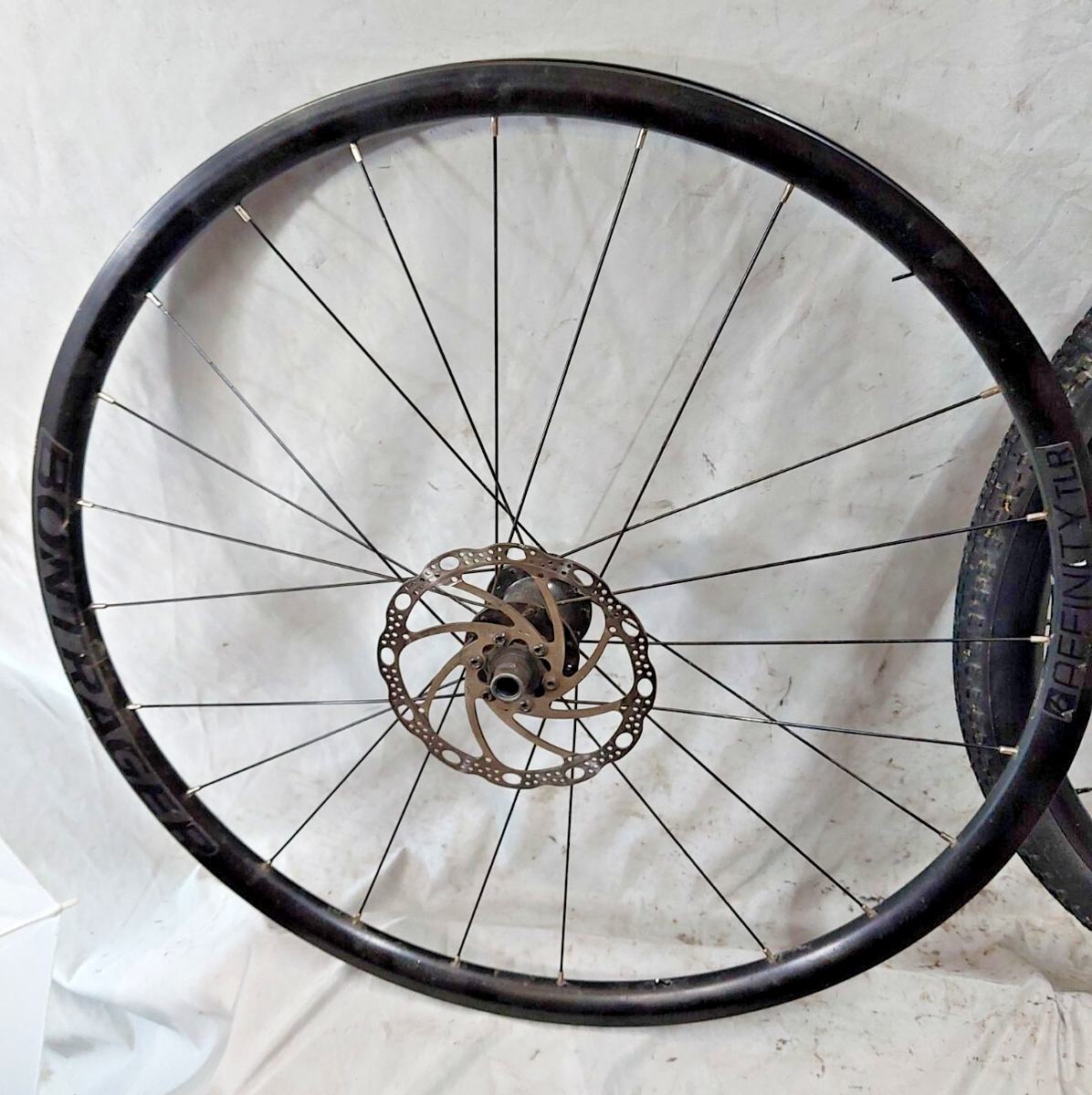 Trek Bontrager Affinity TLR/WTB 29