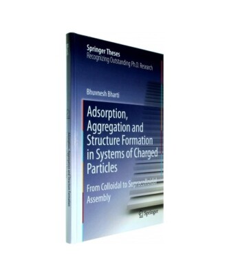 Adsorption, Aggregation and Structure Formation in Systems of Charged Particles: