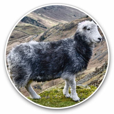 Sottobicchiere Quadrato Con Pecore Herdwick - Regalo Lake District