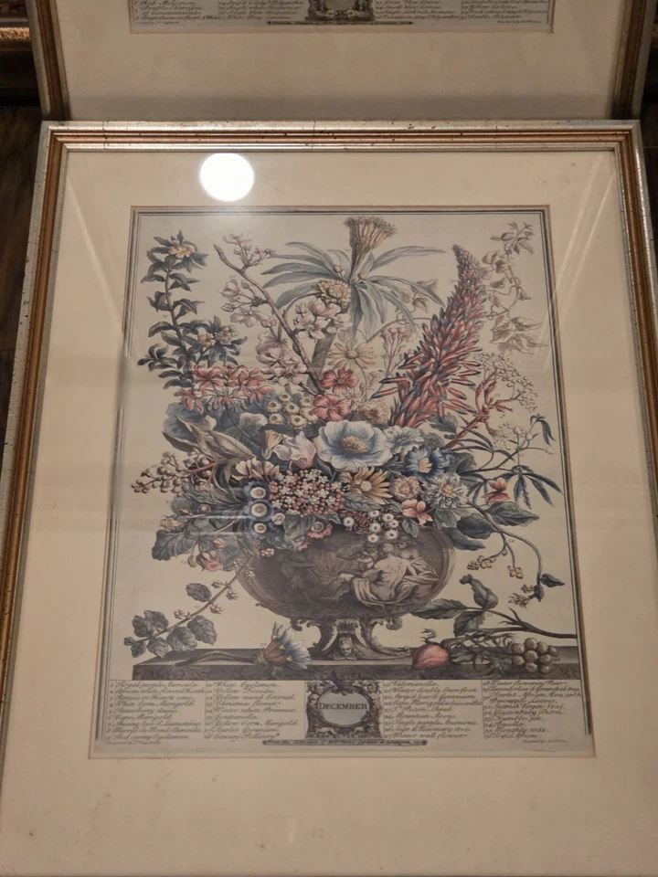 Par De Colección 12 Meses De Flores: Febrero Y Diciembre Robert Furber Litografía Botánica Foto 4 de 4