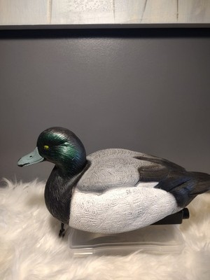  Life-Size-Blue Bill Drake Decoy Made By Green Head Gear (Snap Lock)