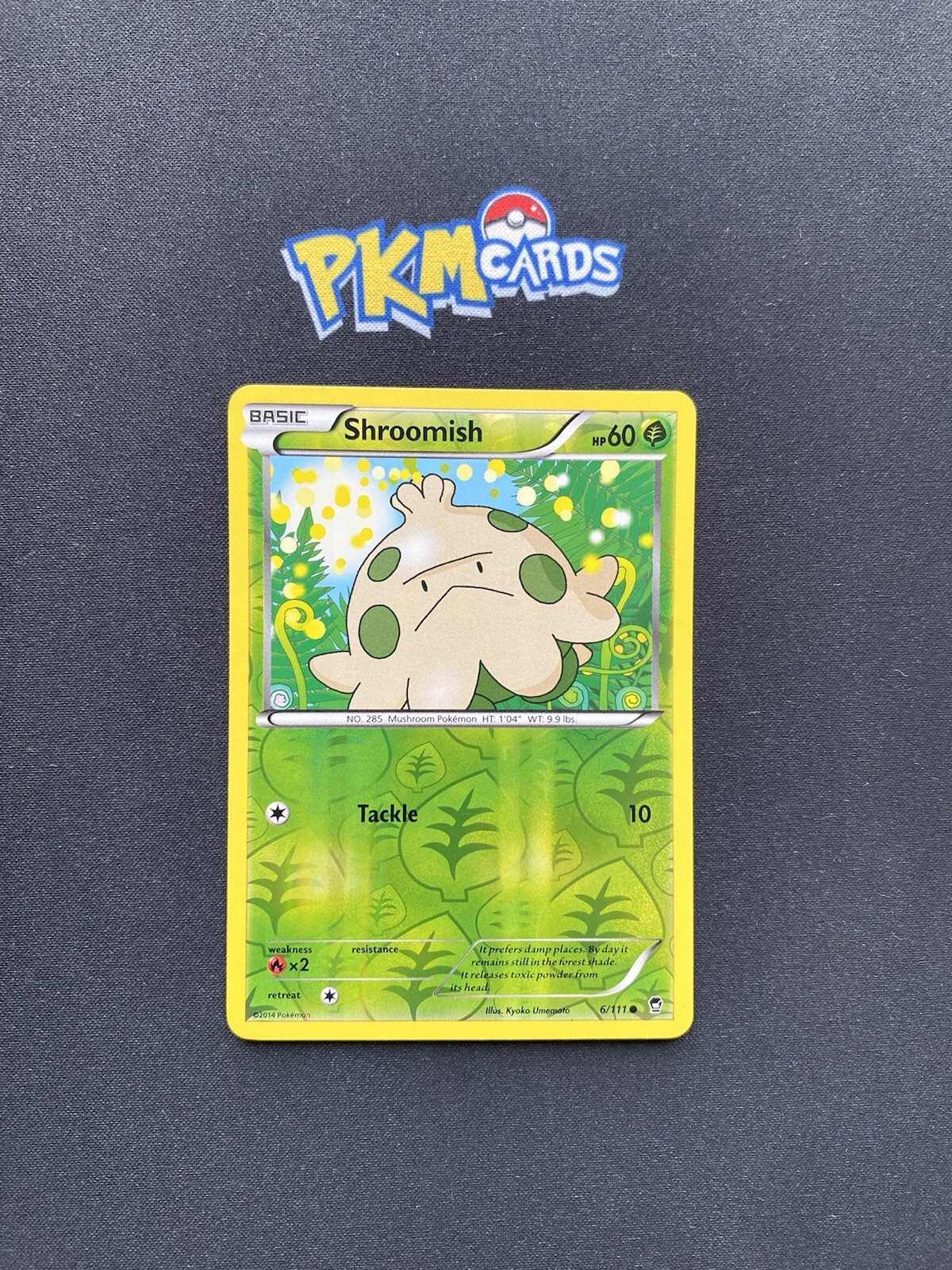 Pokémon TCG Shroomish Furious Fists 6/111 Reverse Holo LP.