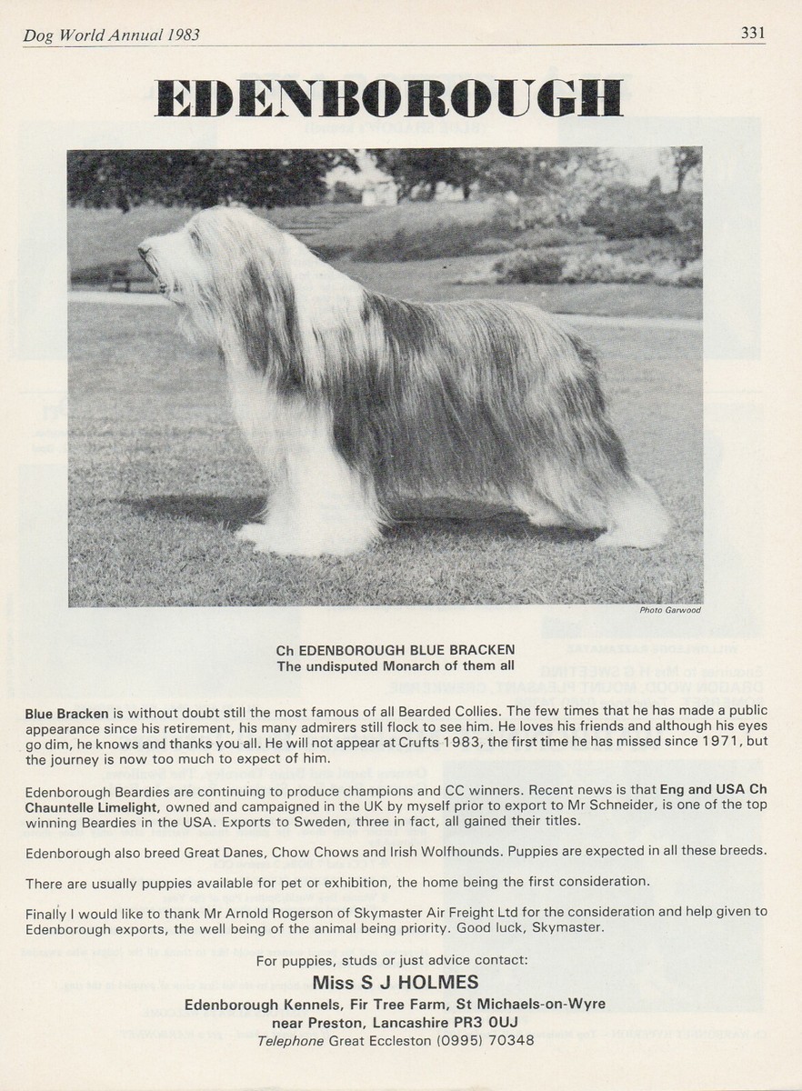 BEARDED COLLIE DOG WORLD 1983 BREED KENNEL ADVERT PRINT PAGE