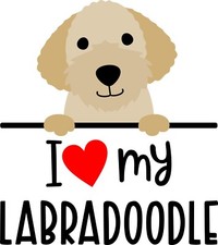 I love my Labradoodle hand towel / dish towel / decorative towel