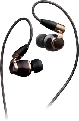 Victor JVC HA-FW10000 canal type earphone WOOD series high 