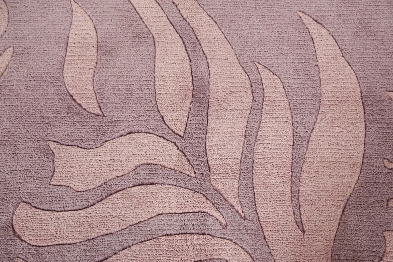 Picture 8 of 12