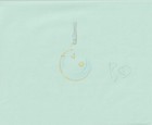 The Twelve Kingdoms Juuni Kokki Genga Douga Original Sketches Pierrot - Youko — photo 3