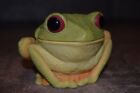 Red eyed tree frog trinket box.