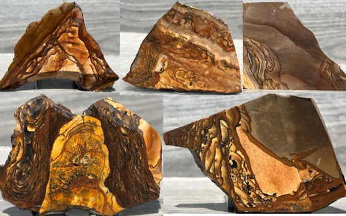Dendritic Biggs, Blue Biggs Jasper Slab Lot 1/2lb Lapidary Rough Slab Cabbing