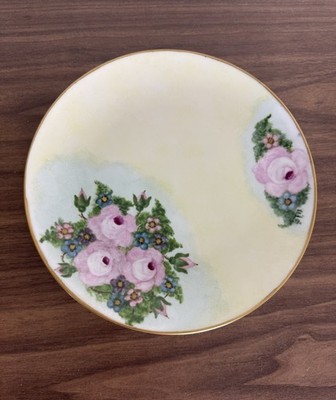 Beautiful Porcelain 9.25  Floral Plate Vintage Unmarked Hand Painted Gold Trim