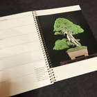 Picture 3 of 3