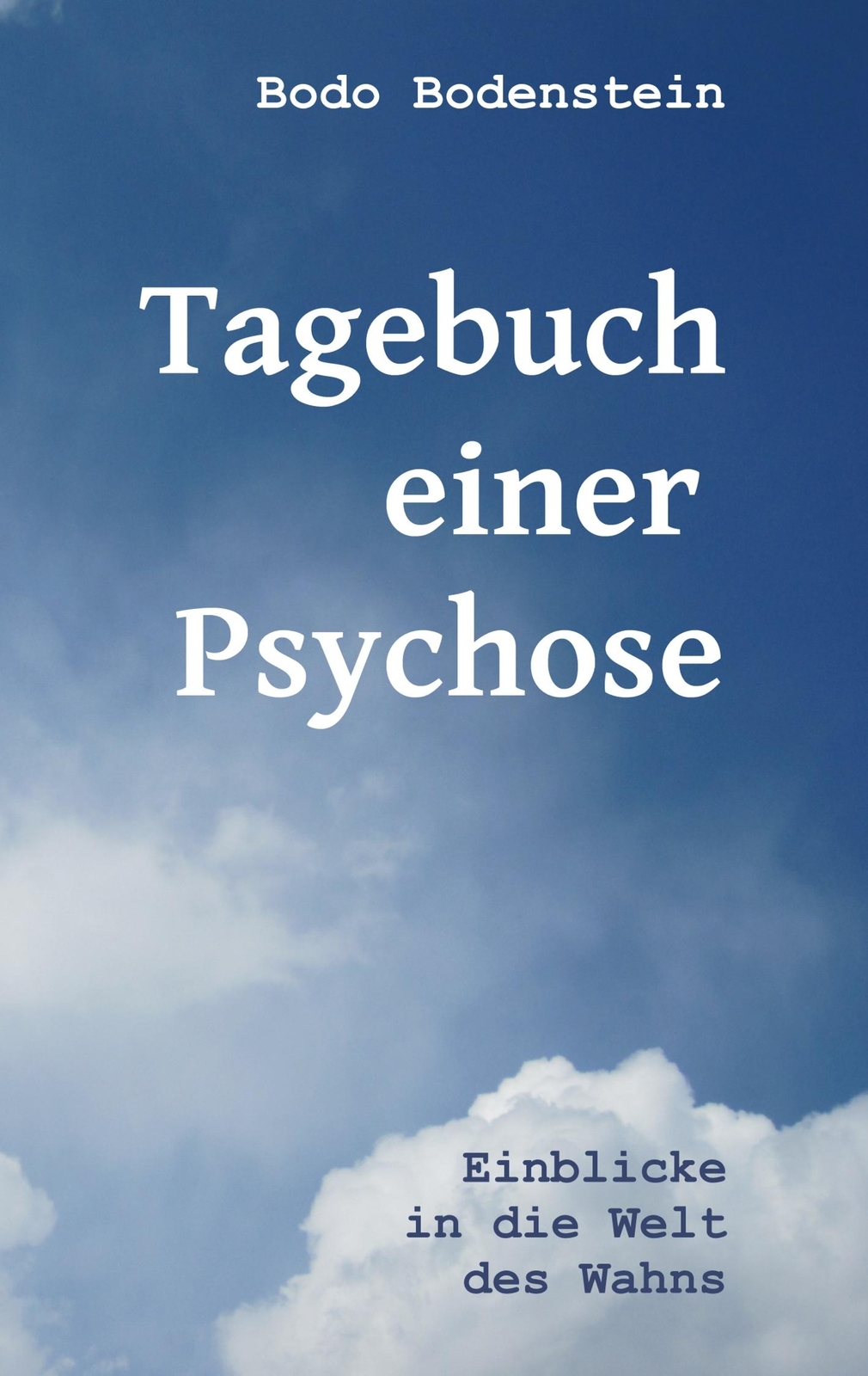 Thumbnail - Bodo Bodenstein / Tagebuch Einer Psychose9783837016772