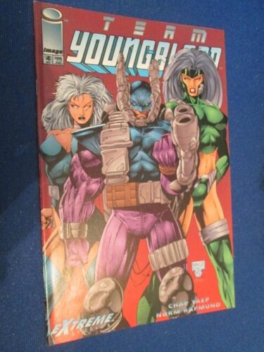 Team Youngblood Comic Book- Your Choice-Image/Extreme Studios Comics - Bild 5 von 33