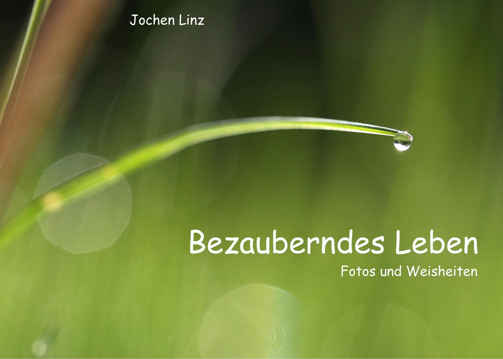 Bezauberndes Leben | Buch | 9783752816808