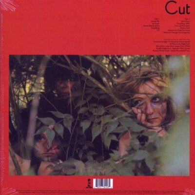 VINYL The Slits - Cut 602577341434| eBay