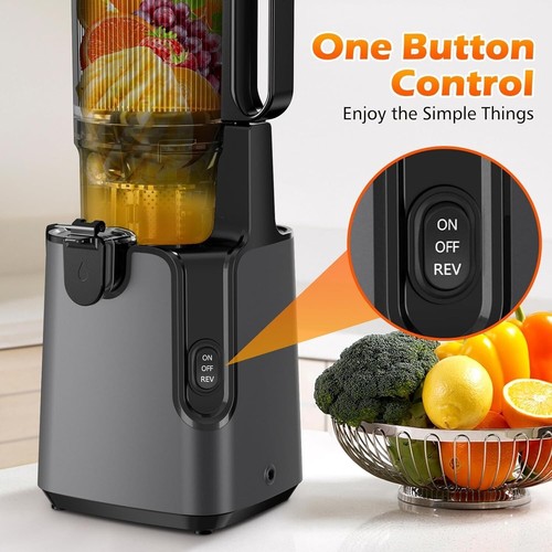 Professional Masticating Juicer - Easy Clean, Whole Fruit Juicer, Titanium Gray - Picture 8 of 9
