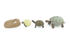 Galapagos Giant Tortoise Life Cycle, 4 Piece Toy Set, Rubber, 3" CH992 BB215