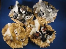 Realistic Furry Cats with Kittens on an Oval Straw Mat Indoor Home Decor