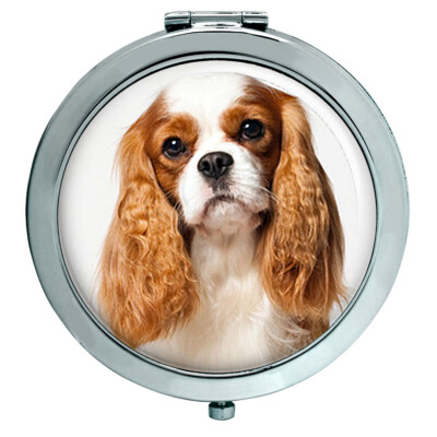 Cavalier King Charles Spaniel Kompaktspiegel