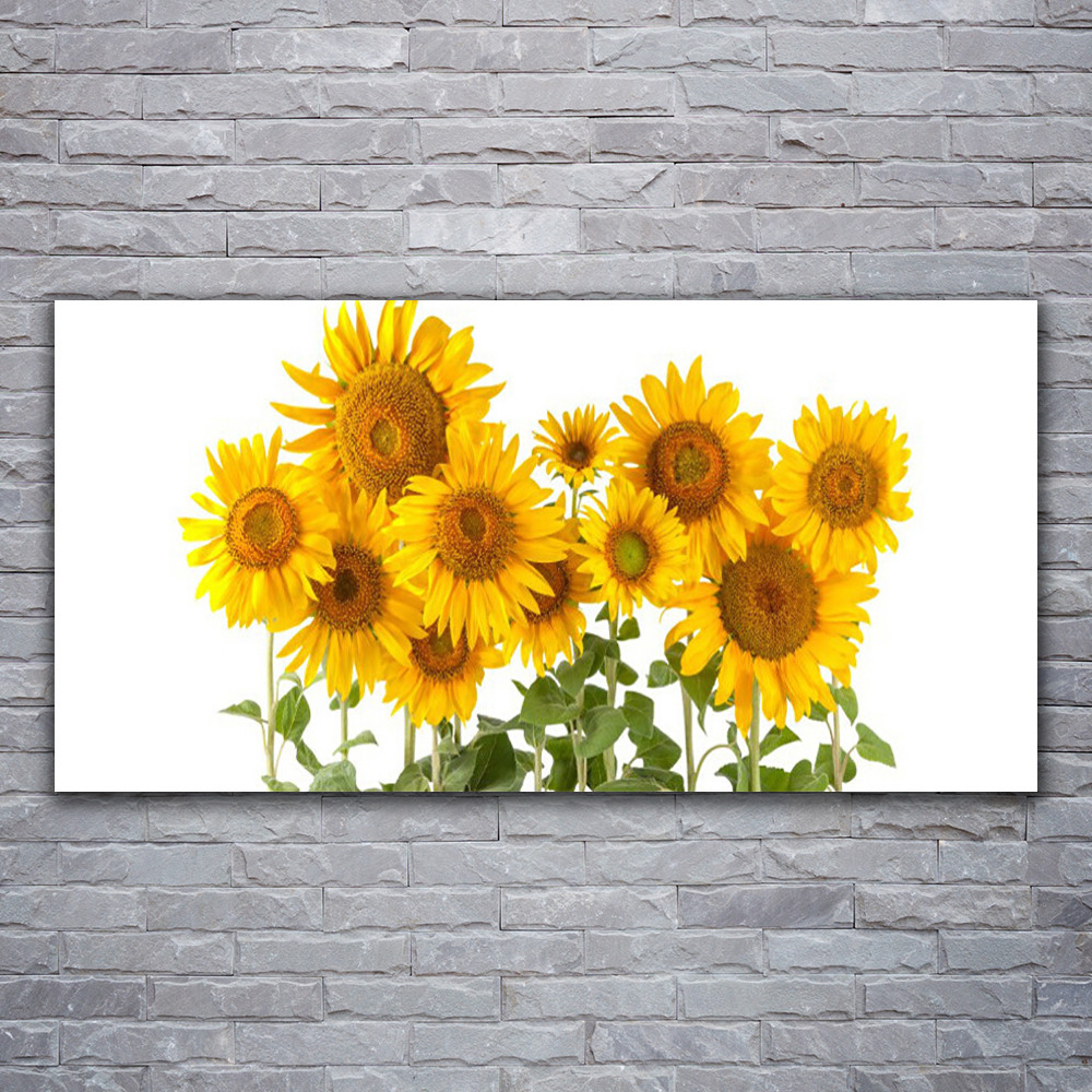 Photo sur toile tournesols 120x60 cm pour une ambiance nature