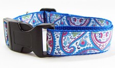 Paisley dog collar handmade adjustable buckle collar 1"wide or leash
