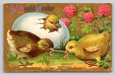 c1910 Chick Hatching Worm Easter P243A
