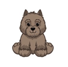 Webkinz Classsic Carin Terrier Virtual Pet Adoption Code Messaged CODE ONLY