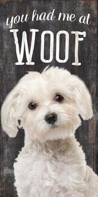 Maltesisches Schild - Du Hattest Mich Bei WOOF 6x12