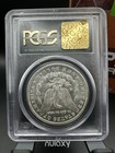 1901-O Morgan Silver Dollar PCGS MS63 Choice BU Coin Trader Bea Epic Chase Box — photo 3
