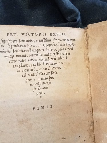 PALLADII RVTILII TAVRI/PETRI VICTORII/ENARATIONS VOCVM PRISCARVM-1541/1542 - Bild 6 von 7