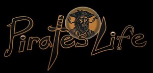 X-Large-PIRATE-039-S-LIFE-BLACKBEARD-BLACK-GOLD-Bumper-Sticker-11-034-x-5-034-Di-cut-Decal