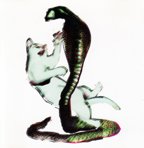 Les Savy Fav Cat and the Cobra (CD) Album