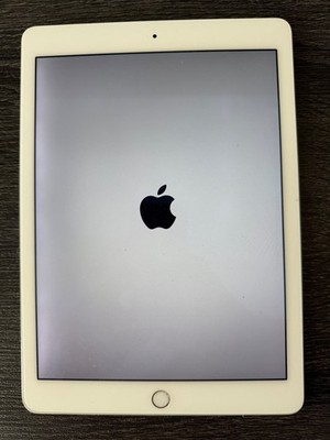 Apple iPad Air 2 16GB, WLAN + Cellular  24,64 cm, (9,7 Zoll) - Silber DEFEKT !!!