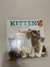"KITTENS 2026," 2026 12 Month Color Calenda (2 PACK) , (11.75" Sq), New/Sealed