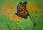 Nature/Garden/Spring/Summer/Butterfly Oil Painting