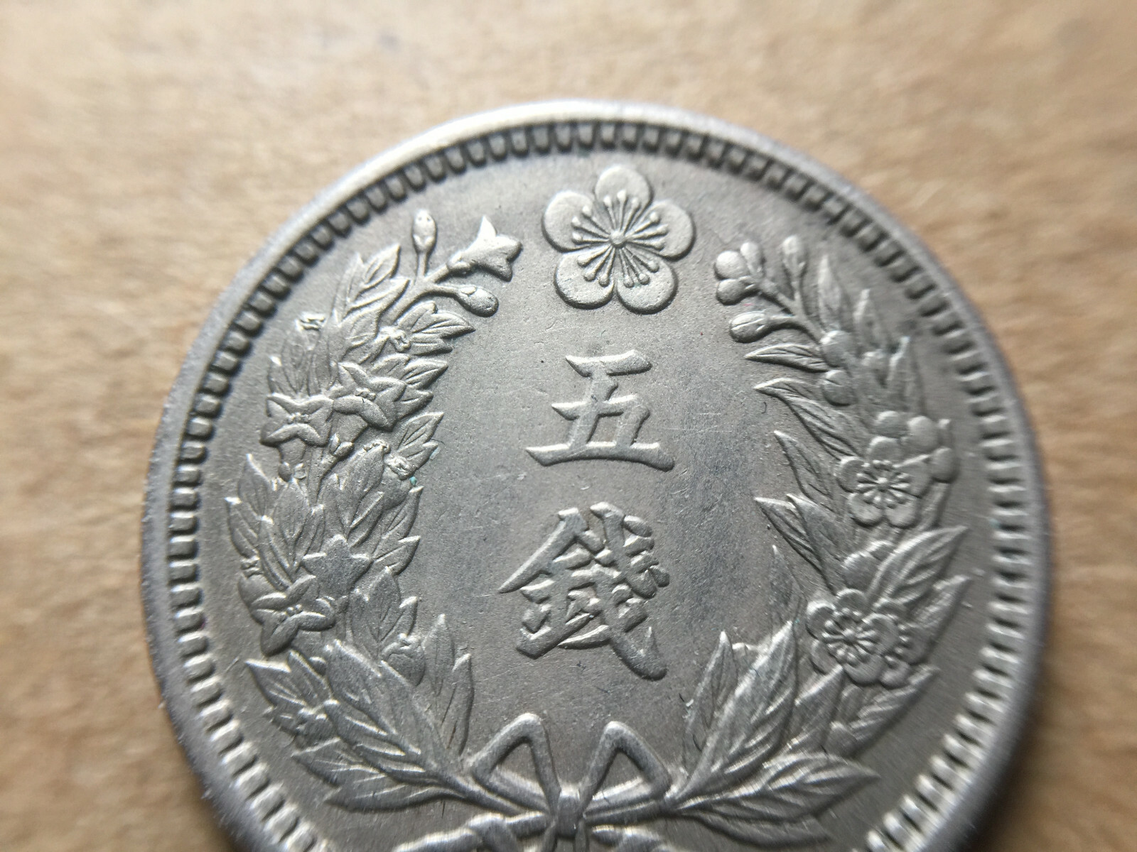 Picture 5 of 12